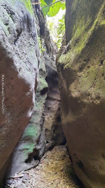 《彰化》原始峽谷｜八卦山一線天步道202502282723539