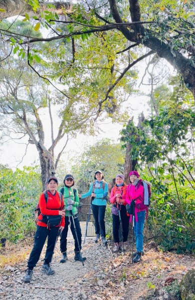 荷苞山登山步道走荷芭山小溪子山 午餐吃塔可飯幸福耶2996085