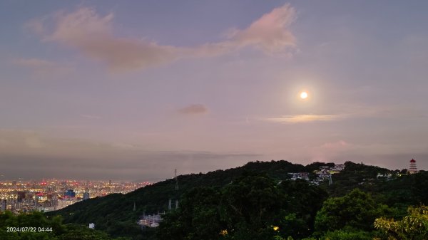 雲山水花鳥蝶 - 天龍國阿伯的日常7/18 & 21、22、292556634