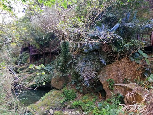 台中~仙氣繩橋山林環繞。 蝙蝠洞登山步道1295487