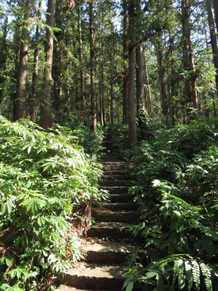 仙山登山步道O形走+小百岳No.33仙山2715840