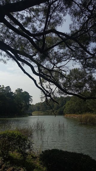 2020 2/4 虎頭埤878927