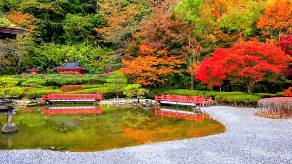 岩手縣藤原之鄉2930097