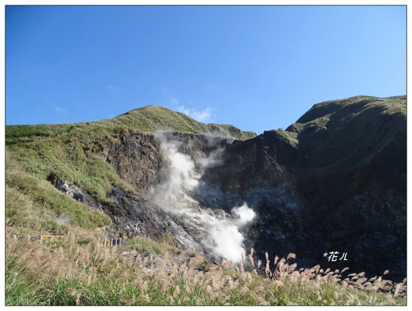 七星山步道、芒花搖曳3137680
