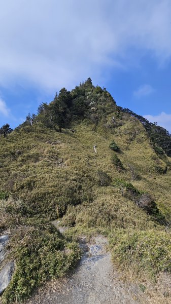 【閒閒南橫摘星去！】百岳#077關山嶺山。美麗壯闊中卻帶點淡淡哀愁的南橫公路。3036065