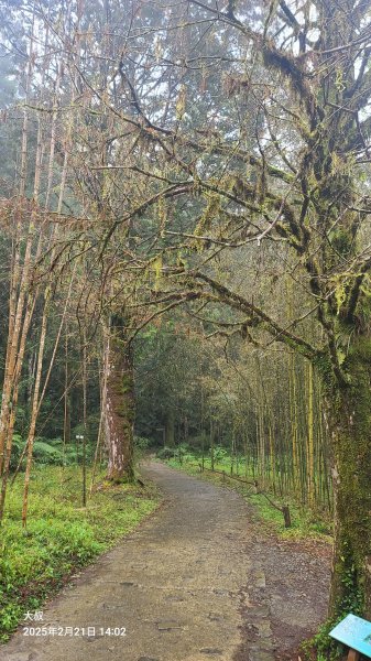 2025-0221 明池步道2718234