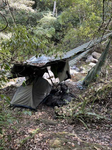 蝶夢八唐搜尋失蹤者 2025.11.25