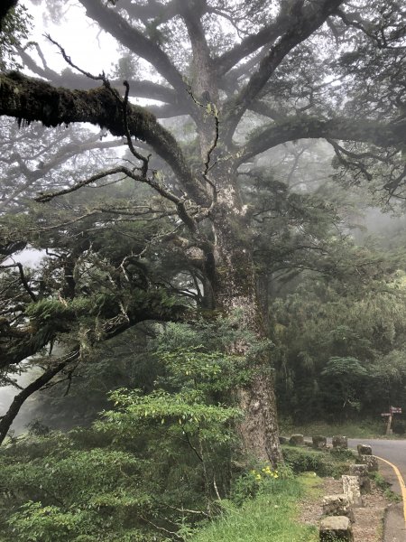 良尉家登山日記1379490