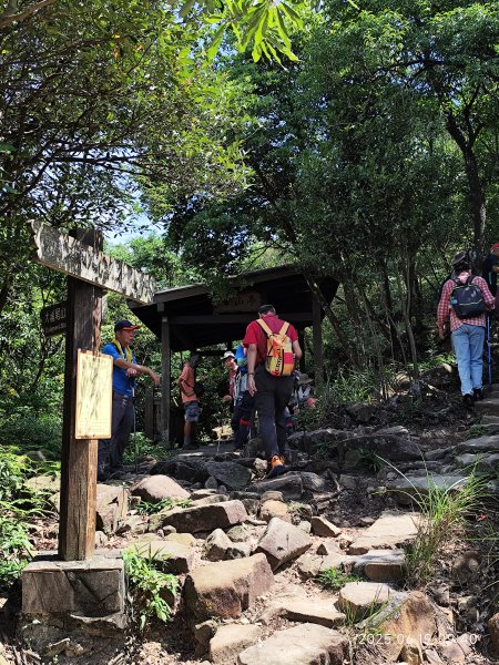 內湖金面山環狀步道2815671