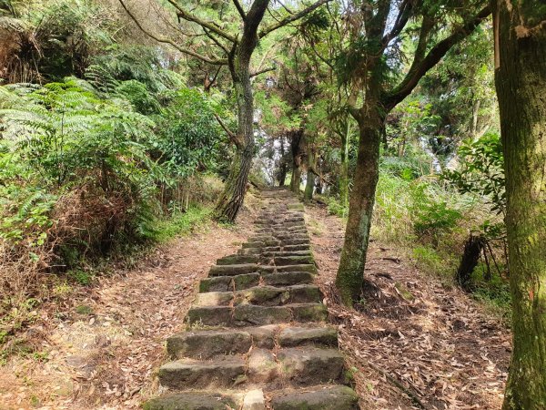 夢幻湖步道1275203