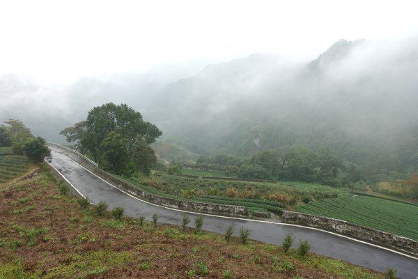 南山寺觀景台3086083