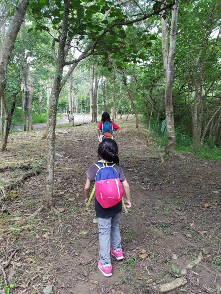 難得的登山體驗宛如明天過後441173