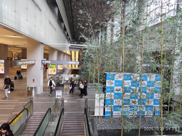 桃園國際機場-香港機場-成都天府機場-天府九鼎國際大酒店2933556