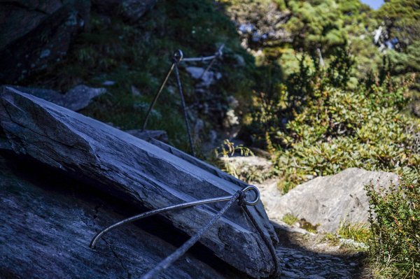 帝王之座-南湖主峰線｜南湖大山＋南湖南峰＋巴巴山2884963