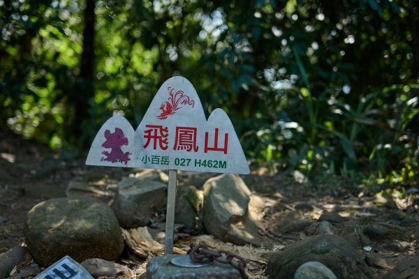 飛鳳山步道 (代勸堂上竹林路下)1886064