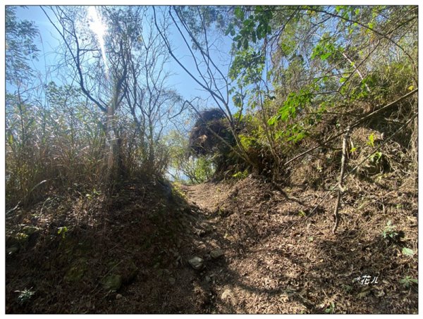獵人古道、望美山、瓊山 連走3011770
