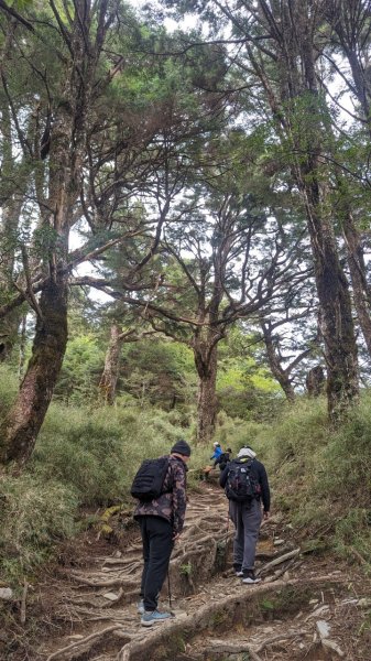 塔關山步道2411488