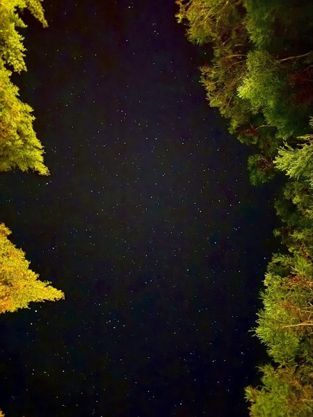 1141108-09桃山單攻2935952