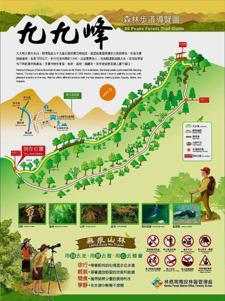 九九峰森林步道-(南投)臺灣百大必訪步道2805914