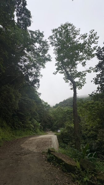 雙石縱走 O還2️⃣3050641