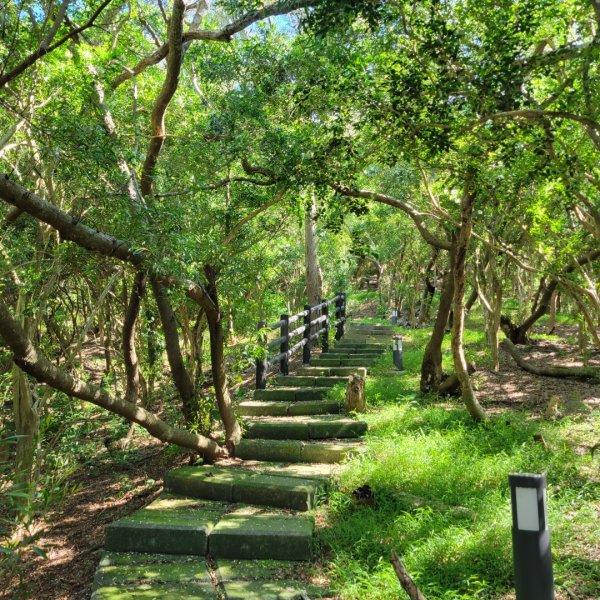 通霄虎頭山步道2245709