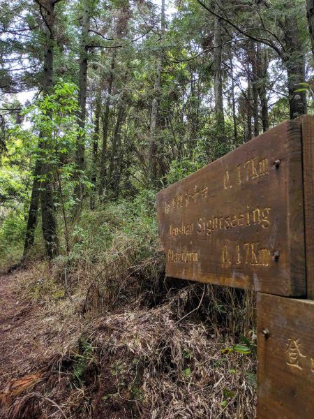 觀霧榛山登山步道912662