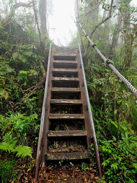 都蘭山-小百岳#93-台東縣東河鄉2779407