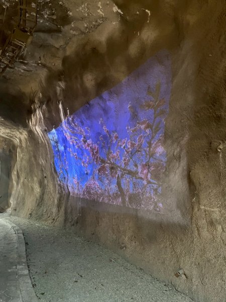 桃園 復興 巴陵隧道3011939