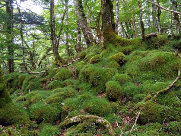 富士山御殿場線~海拔0至37762559120