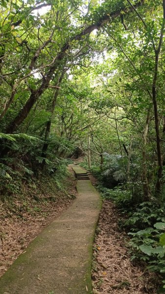 槓子寮砲台、槓子寮山步道(龍崗步道2136715