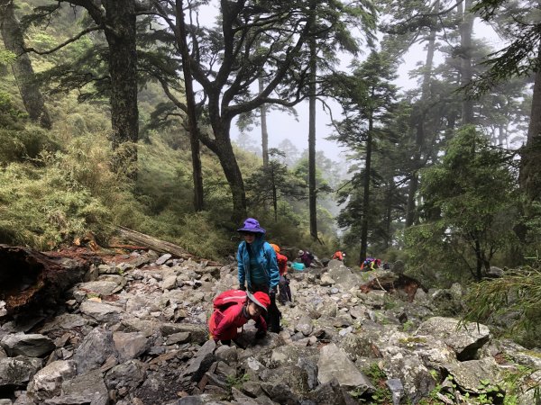 玉山前峰 - 山是家的延伸628470