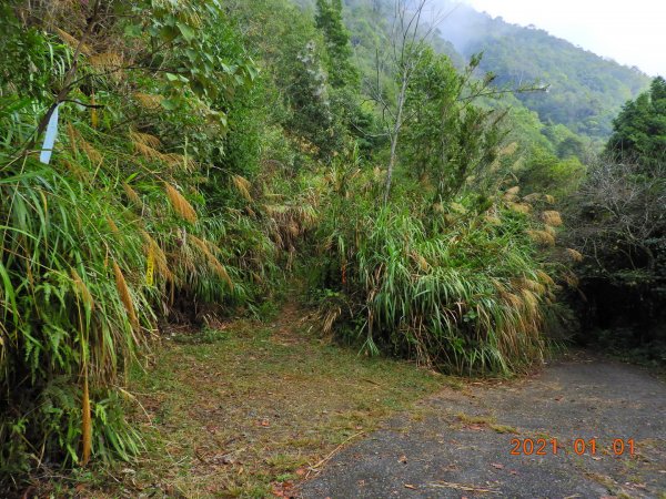 南投 埔里 關刀山1222488