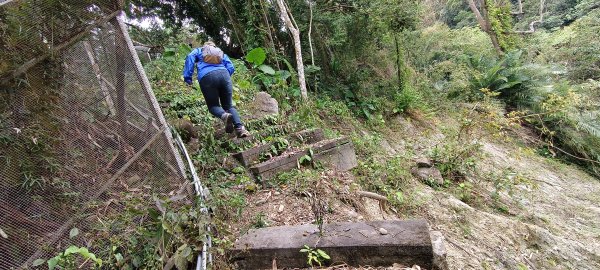 2025/02/08_苦苓腳古道2709242