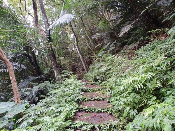 【新竹橫山】廢棄小學變身山城驛站。 逃學古道x大山北月2623215