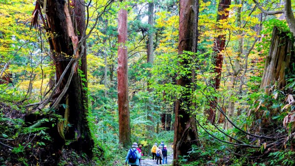 山形縣羽黑山神社2929703