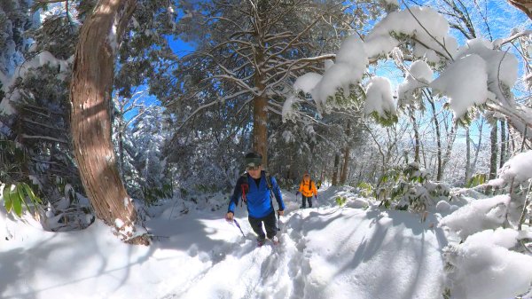 超綺麗夢幻的粉雪奇緣山行記在日本名古屋南沢山2781219