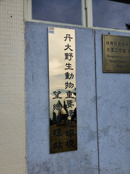 郡大碰碰車952492