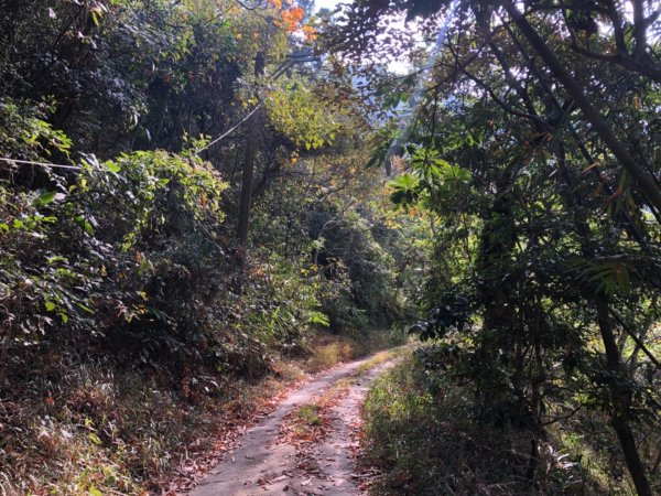 高雄市甲仙區小百岳69號白雲山（廓亭山）一等三角點及一等衛星控制點1984413