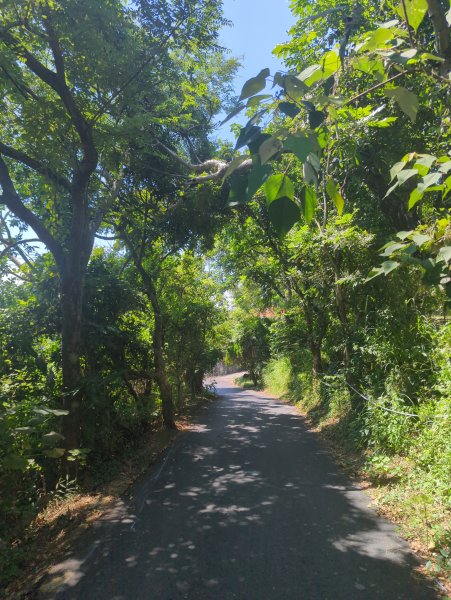 2025.10.05－阿罩霧山、中心瓏步道2908075