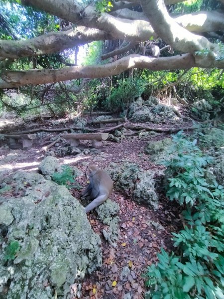 柴山/半屏山2858142