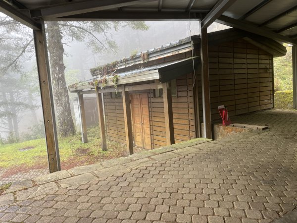 鹿林山-鹿林前山-真鹿林山-石水山-石水山基點峰 2025.5.252798413