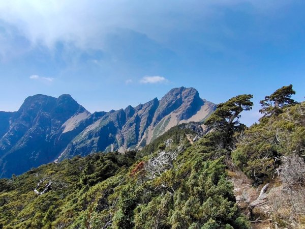 終於看到1000元背面的山景登頂玉山北峰／前峰2495967