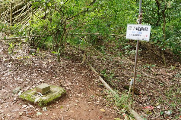 臺北 北投 嘎嘮別山、稻香山、貴子坑山2760554