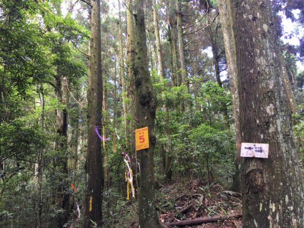 1090615向天湖山.光天高山環走999055