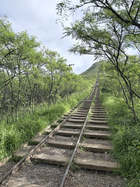 可可角火山口步道及玻里尼西亞文化中心悠遊 2026.2.203012643