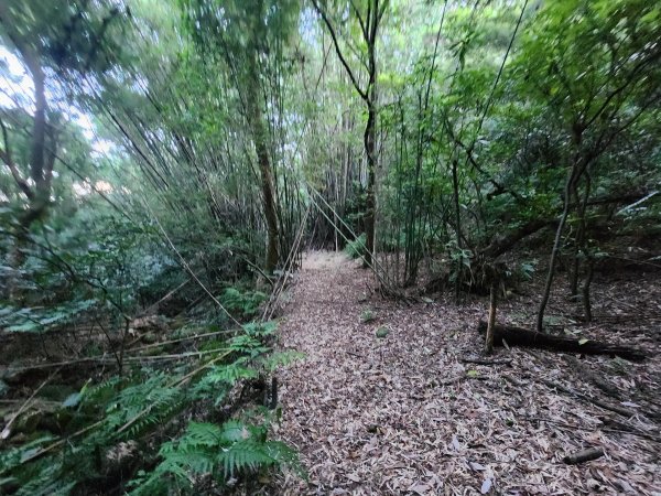 20250913秀才步道福人步道保甲古道2929847