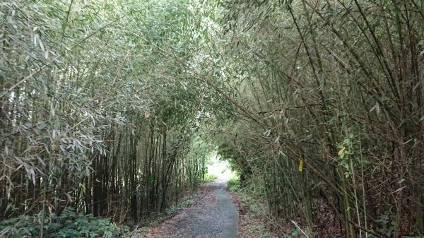 馬拉邦山上湖登山口O型走1069008