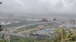 鳶山（福德坑山）2509901