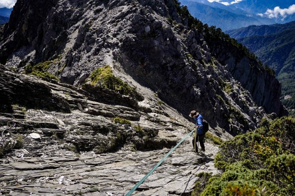帝王之座-南湖主峰線｜南湖大山＋南湖南峰＋巴巴山2884971
