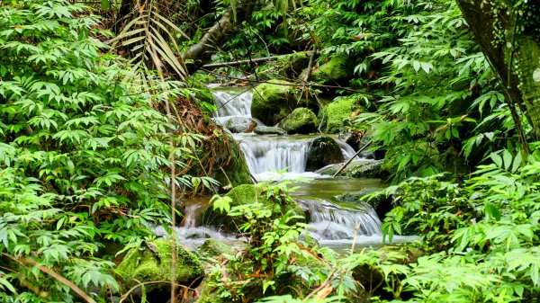 蛇子形古道。美廠產能完售2784742